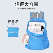 外貿工廠定制雙肩 背包輕量化可